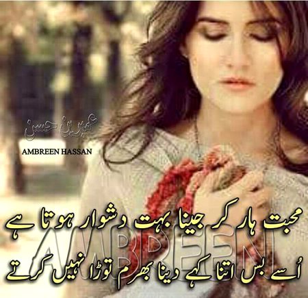 KOIE HY..G