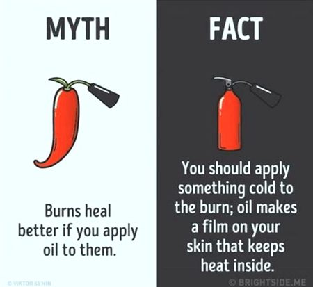 Did you Know