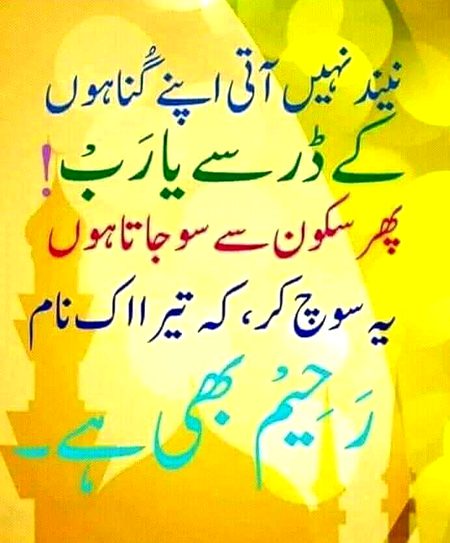 🌹🌹🌷🌷🥀🥀🌹🌹🌷🌷🥀🥀