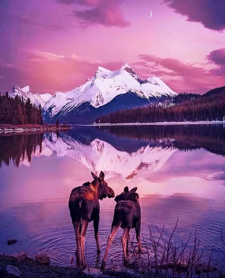 Veri nic...❤❤❤😊