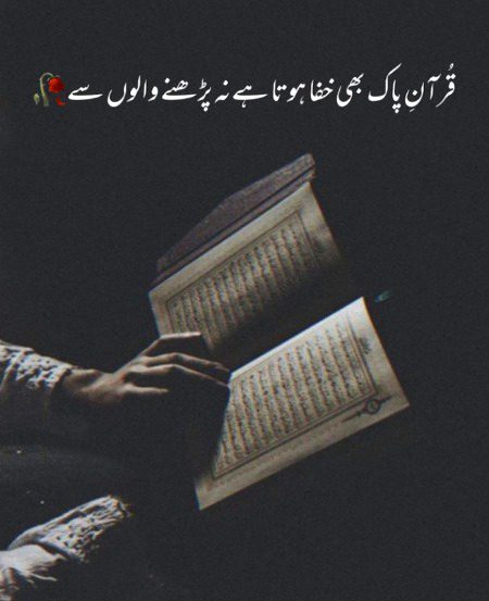 Absolutely true 😊