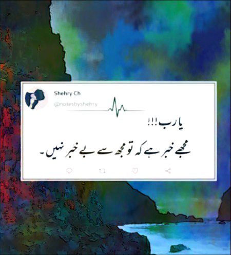 ❤️ ❤️ ❤️