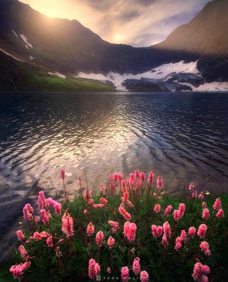 Beautiful Nature image