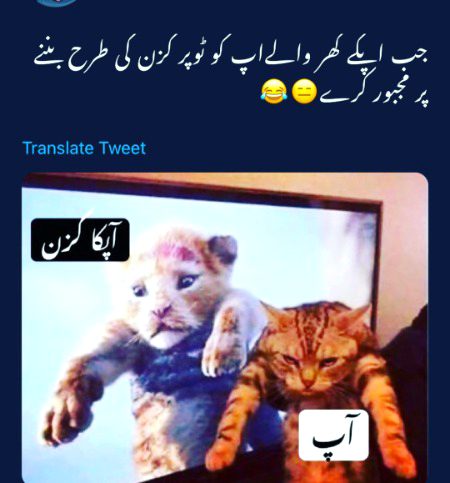 nakl k lye b Aakl chaheye