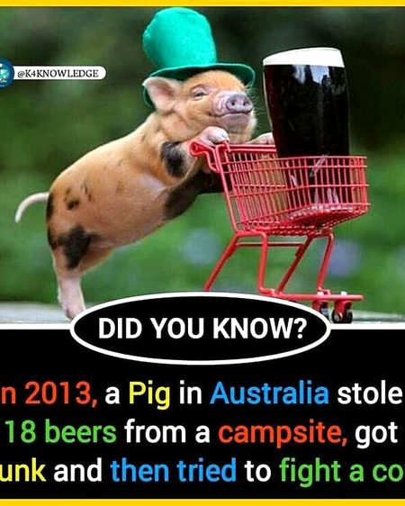 Did you Know
