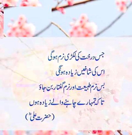 Islamic Quotes image
