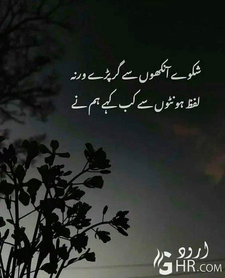 💔Syed Zada🔥