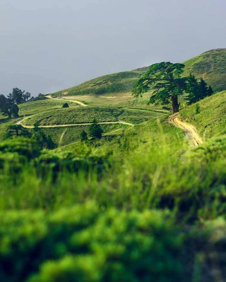 Beautiful Nature image