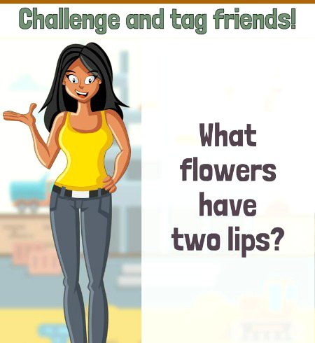 Riddles & Puzzles image