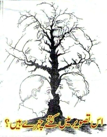 guess how many faces??