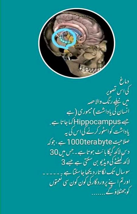 Interesting Posts image