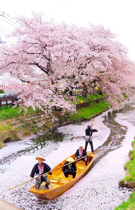 Amazing Place