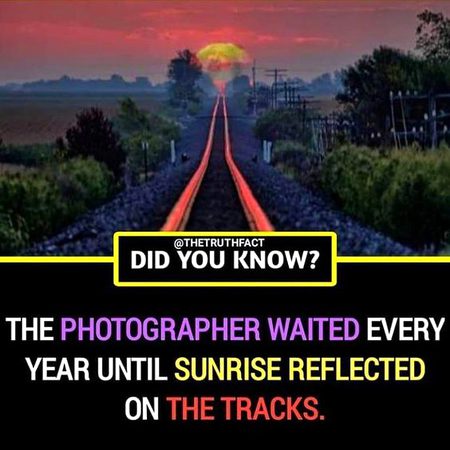 Did you Know