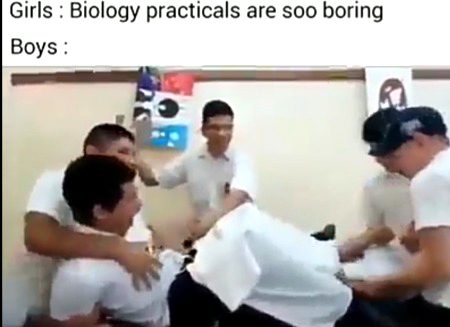 Memes & Satire image