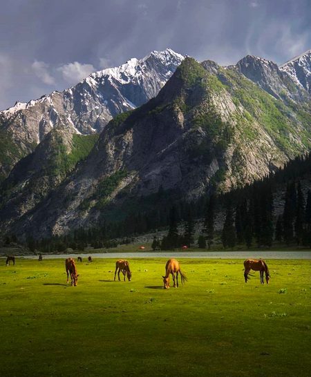 Beautiful Nature image