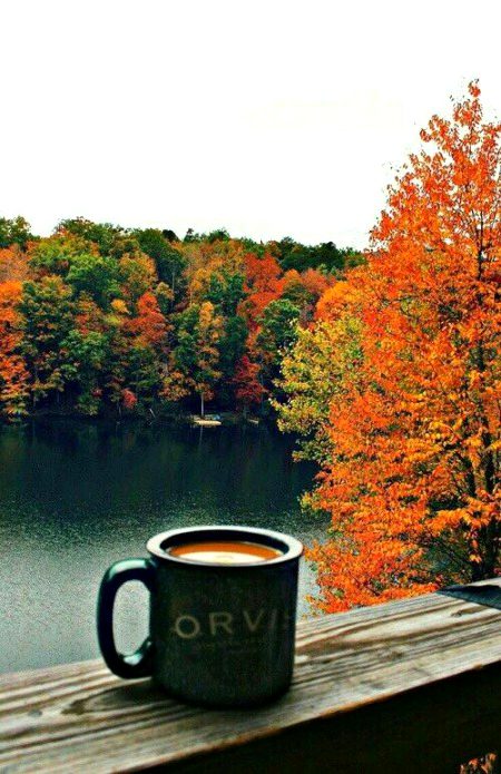 morning tea😍