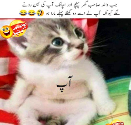 Memes & Satire image