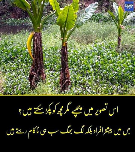 G btaayn sab