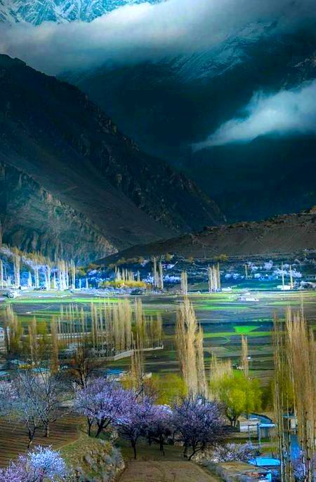 Beautiful Nature image