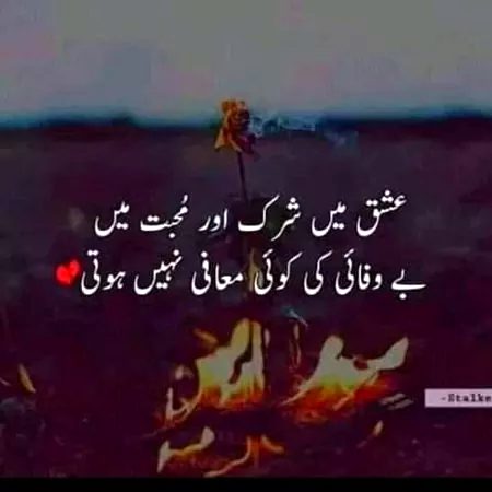 مرشد! میرا واحد اثاثہ ہے وہ🙏
کسی اور کے پاس دیکھوں گا تو مر جاؤں گا...💔