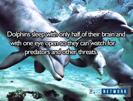Did you Know