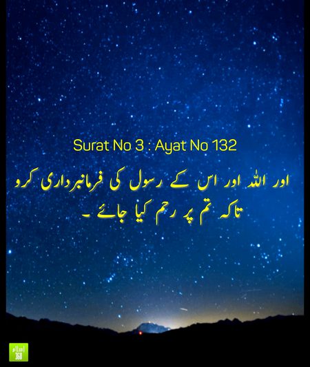 Islamic Quotes image