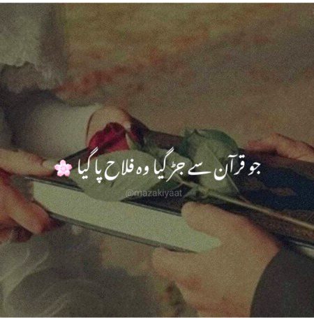 Beshak ☺️☺️