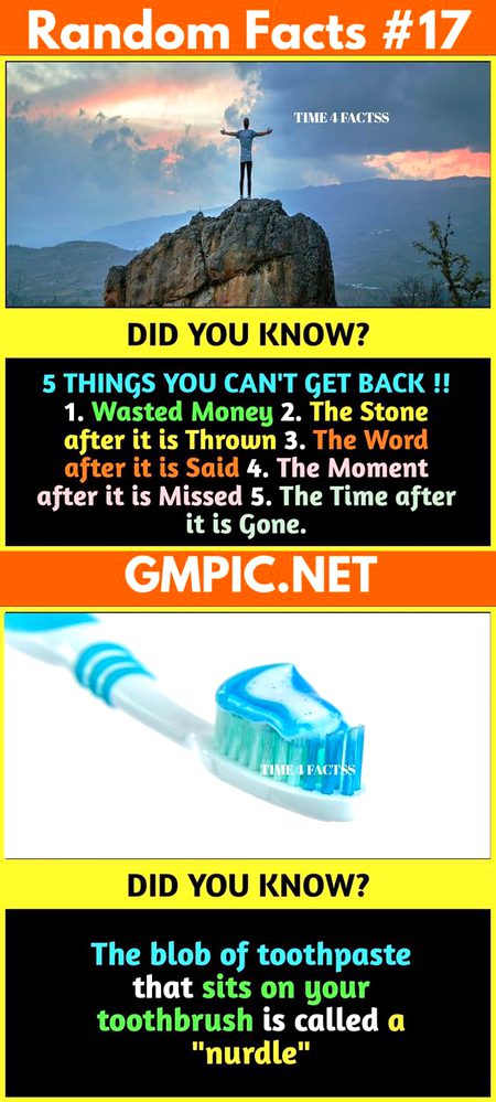 Did You Know