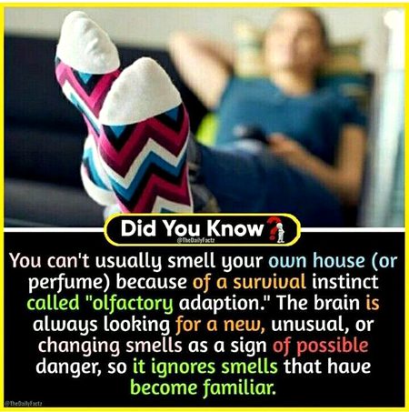 Did you Know