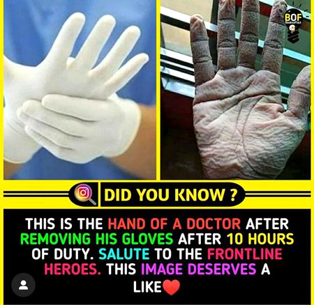 Did you Know