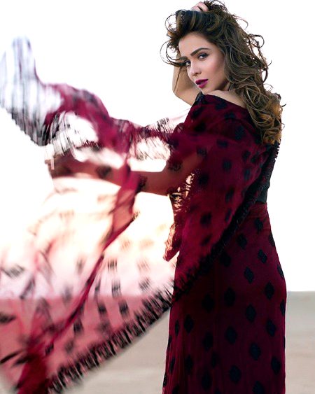 Pakistani Celebs image