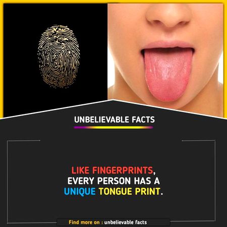 Did You Know