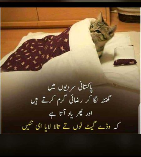 Aho ji mery sath v sometime enj hota😜😛😒😣