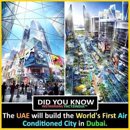 Did you Know