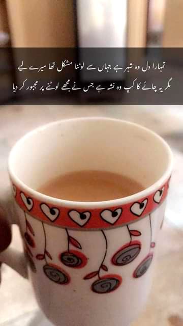 Tea Lover☕.x3