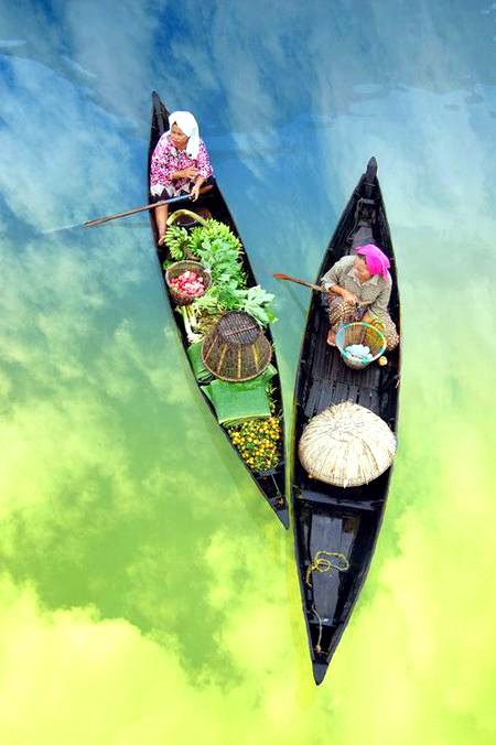 Beautiful Nature image