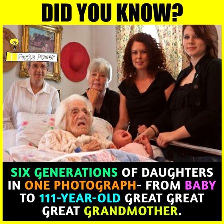 Did you Know