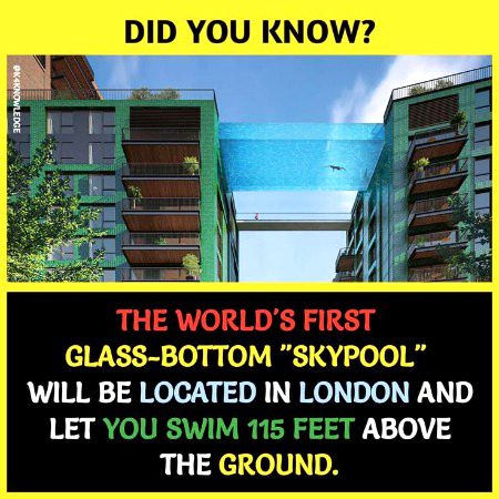 Glass bottom pool ...Amazed to see