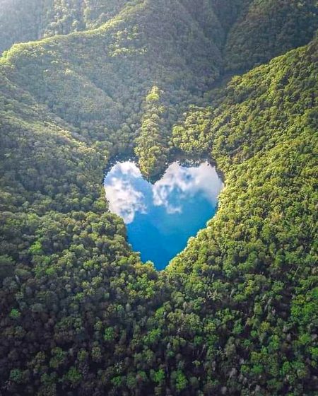 Beautiful Nature image