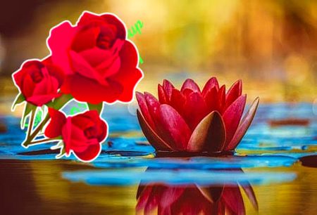 🌹🍁🌹🍁🌹🍁🌹۔

اپنی *مشکلات* کے  بارے 
میں ہر *وقت* سوچ سوچ 
کــــر کڑھتے رہنا  بھی *ایـــک* 
طرح کــــی *عادت* بن جاتا 
ہے ۔
 
 *ایک وقفہ لیجیئے ۔۔۔،* 

چھوٹی چھوٹی *خوشیوں* 
کو بھی *وقت* دیں ۔ یقین
 کیجیئے *زندگی* سہل ہو
جائے *گی ۔ 💕*

🍁🌹🍁🌹🍁🌹🍁۔