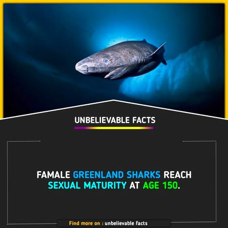 Did you Know