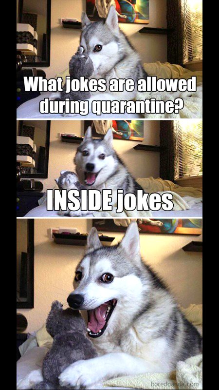 Laughed...Wese bt bilkul thk hai ..