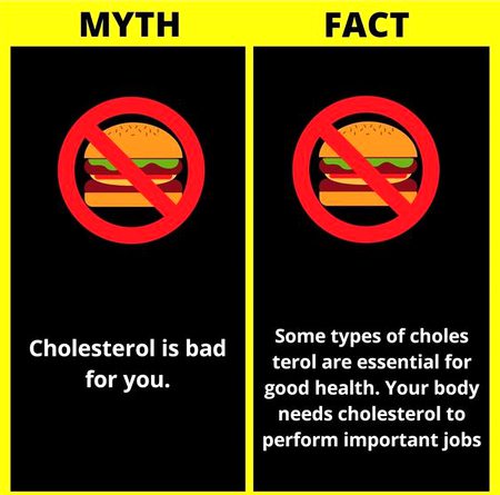 Did you Know