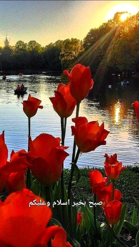 Assalamu alikum kese ho frends 💐💐🌸💮