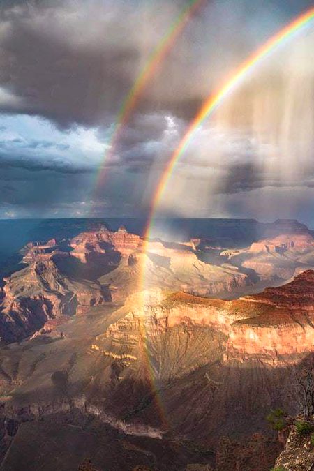 Moments after a passing monsoon in the Grand Canyon.