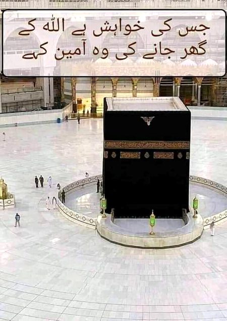 Beautiful Structures image