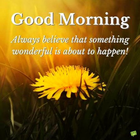 Have a nice day to all friends ❤️ 💓💕