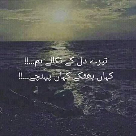 🍁Zoq_Shab🍁