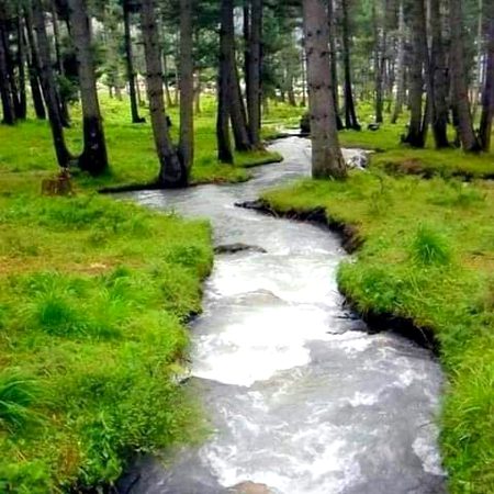 Beautiful Nature image