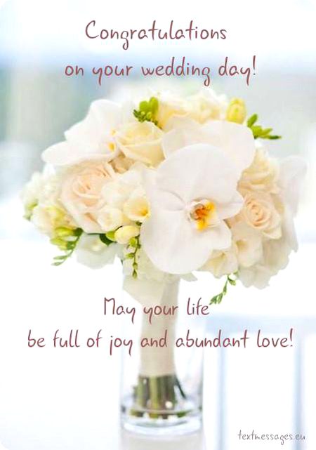 congratulations dia😍